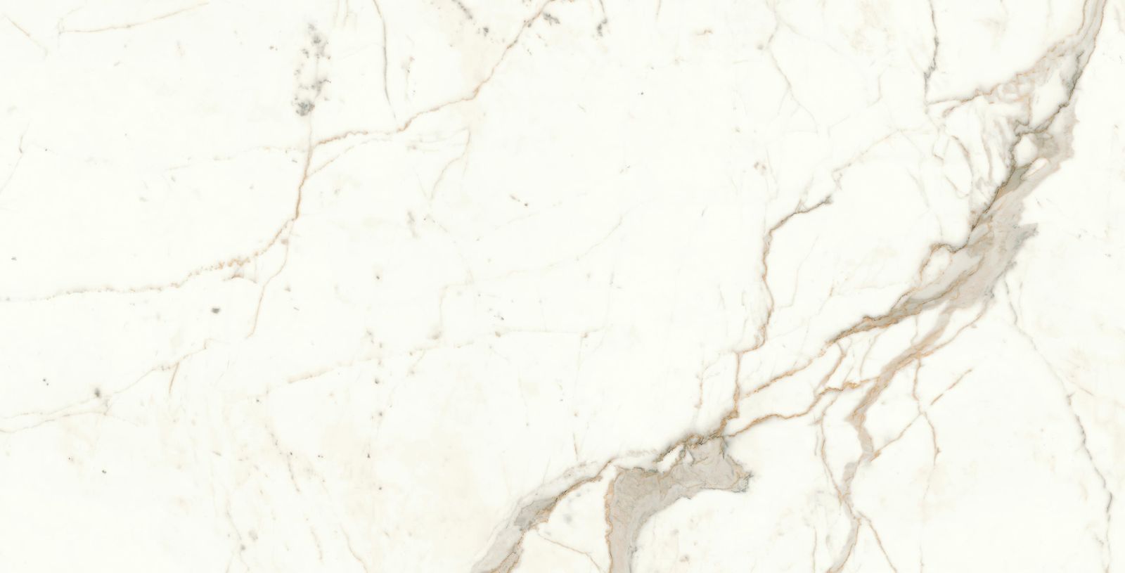Marvel Shine White by Atlas Concorde