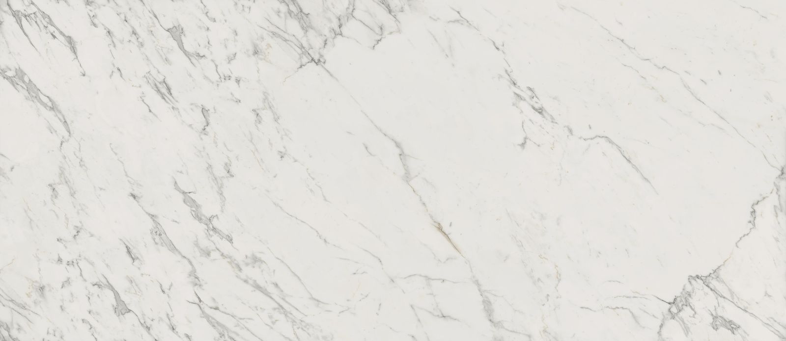 Marvel White by Atlas Concorde