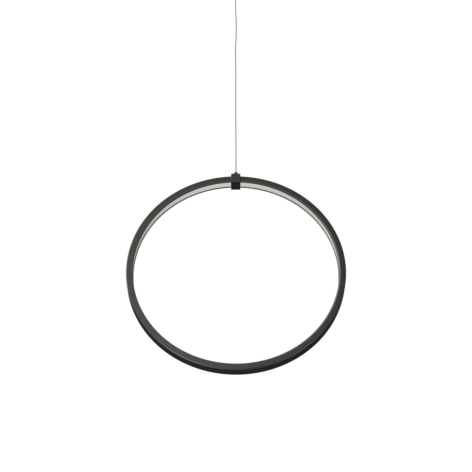 CIRCUS IN XL by BENEITO FAURE