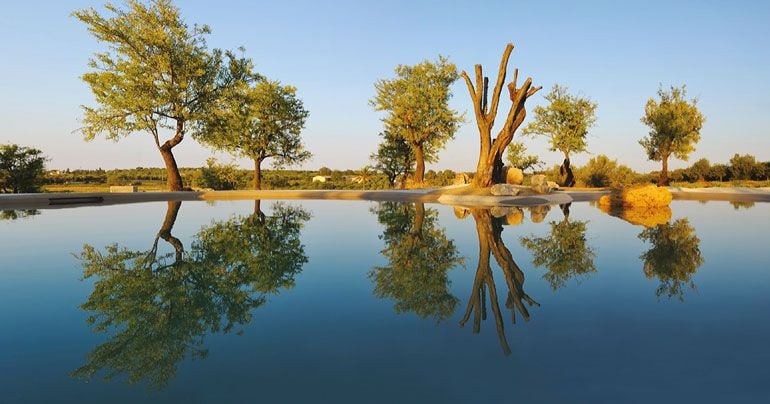 Un élément d’ameublement | Biodesign Pools by Bio.design