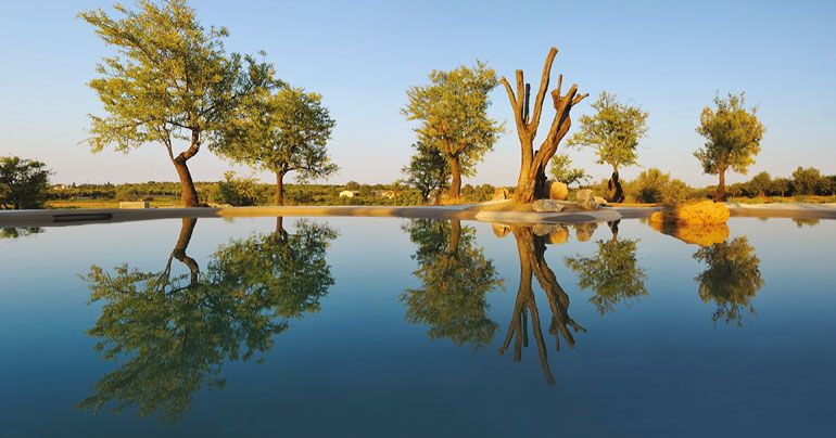 Un objeto de decoración | Biodesign Pools by Bio.design