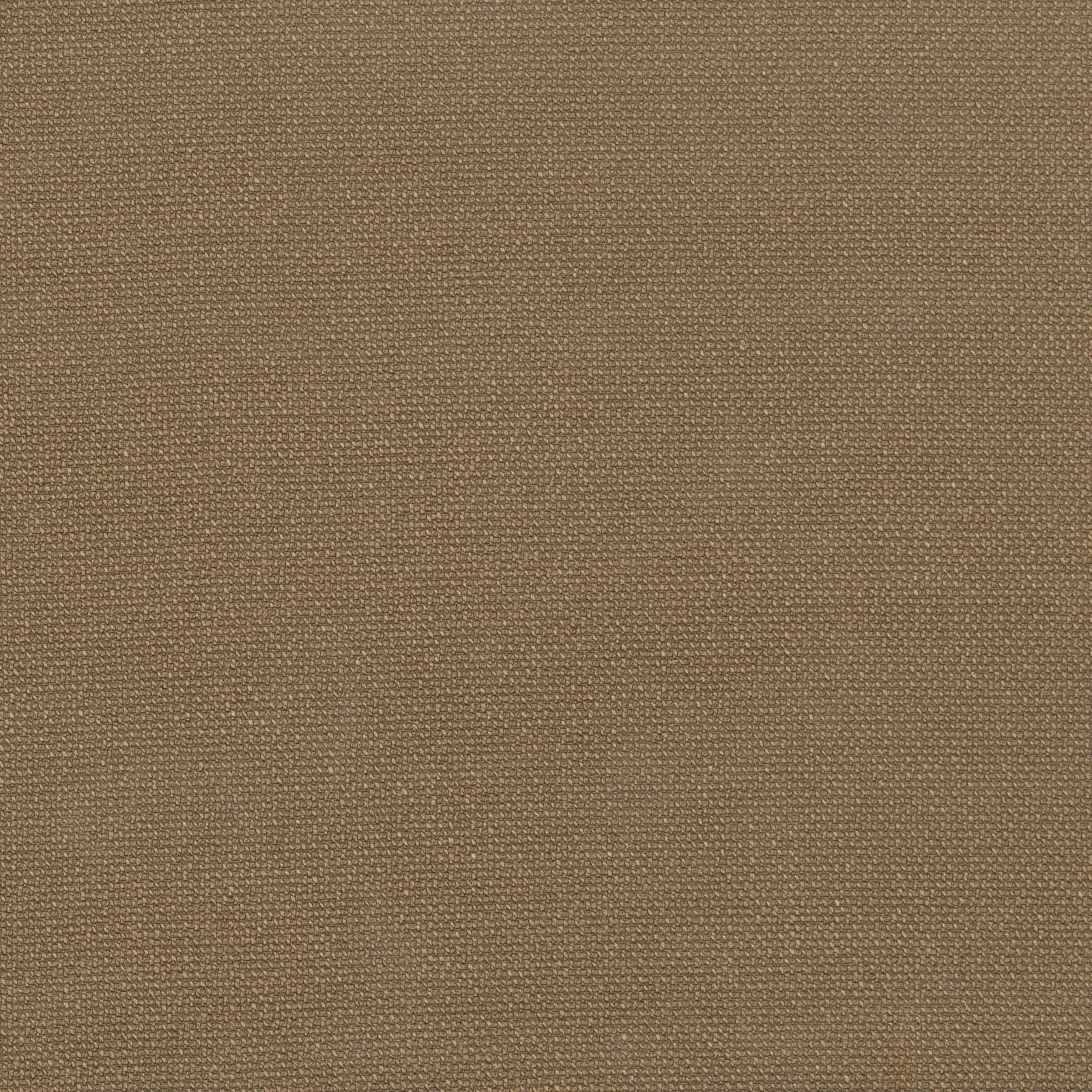 Belsito Walnut by Black Edition