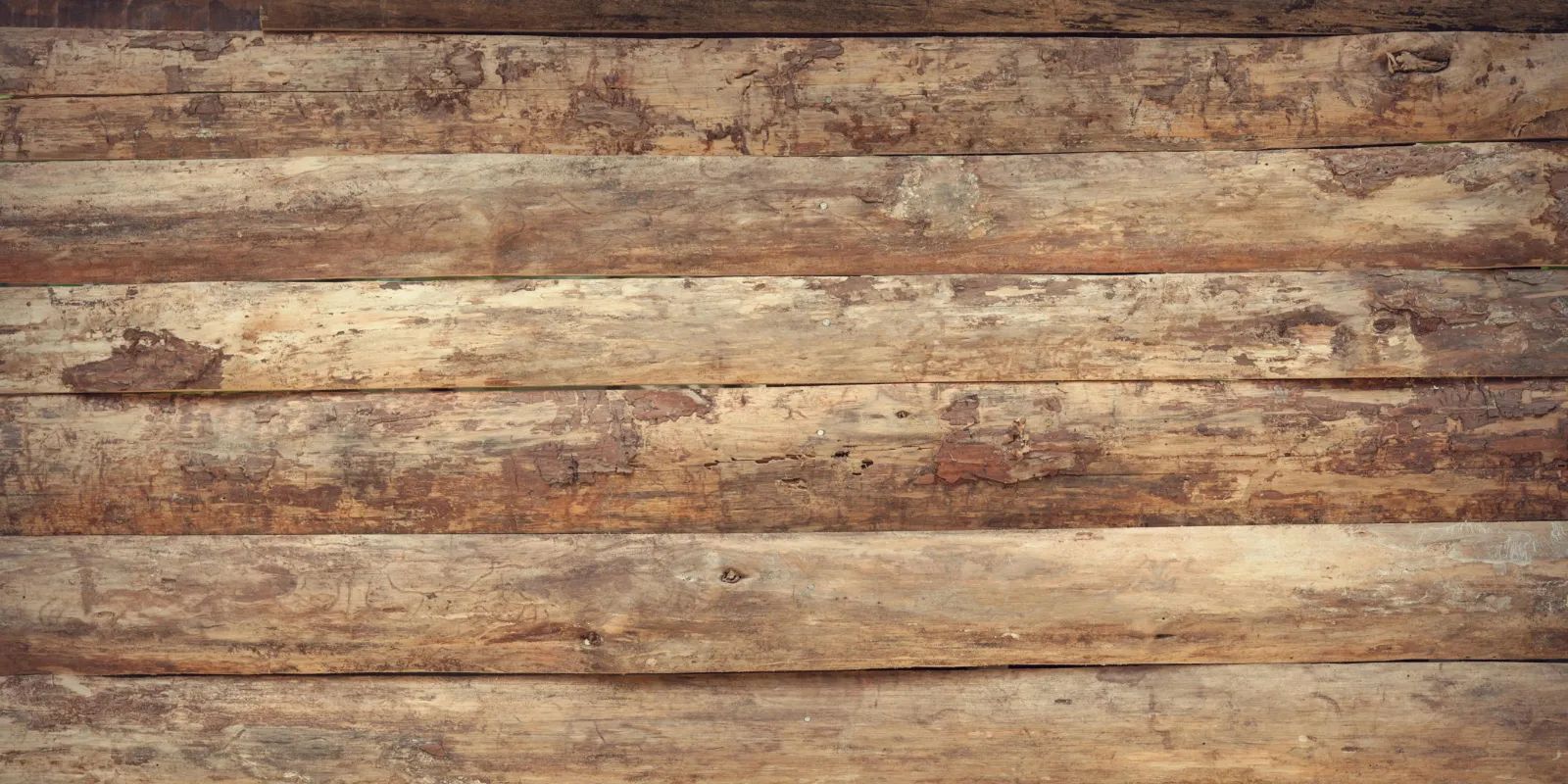 Environmental sustainability – Pegaso wooden garage doors by Breda