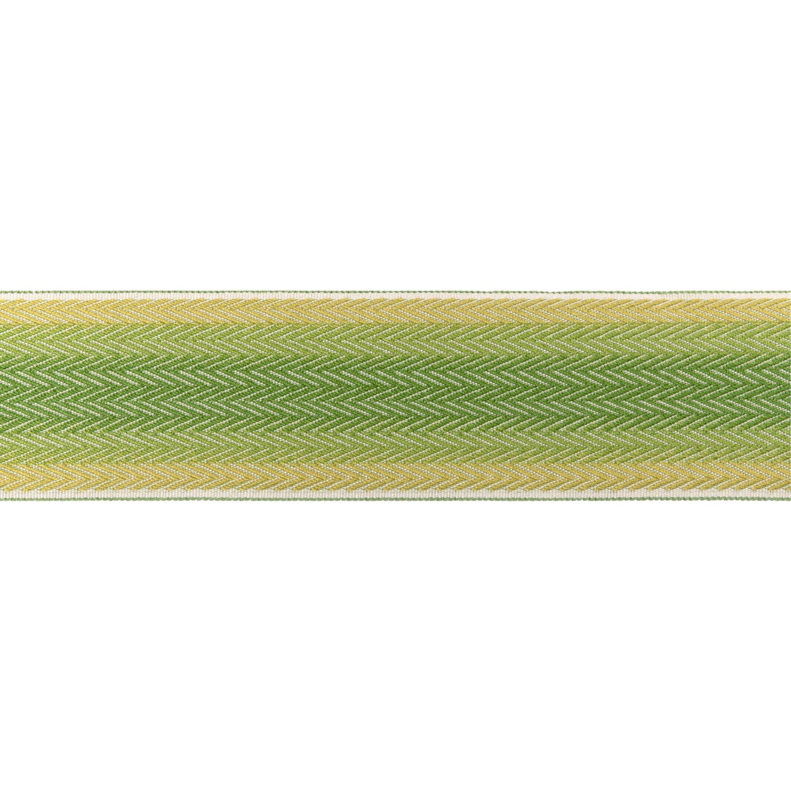 Barfleur Tape - Leaf by Brunschwig & Fils