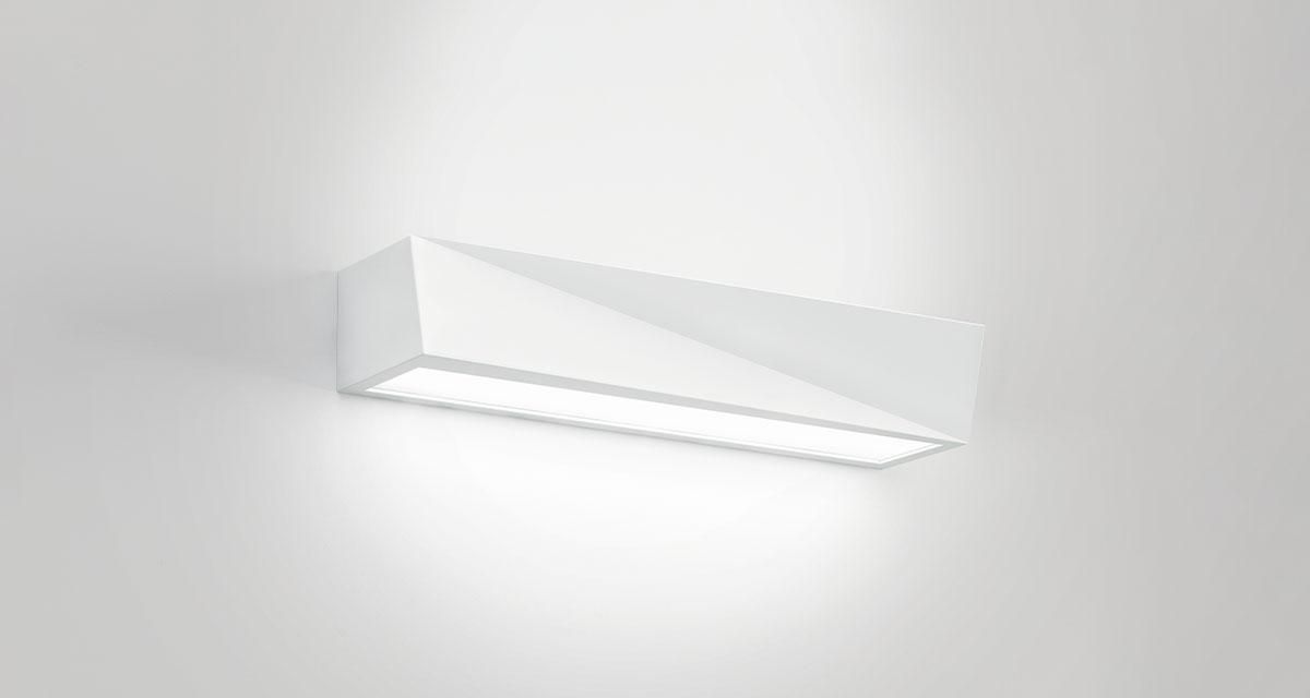 YANG by Buzzi & Buzzi