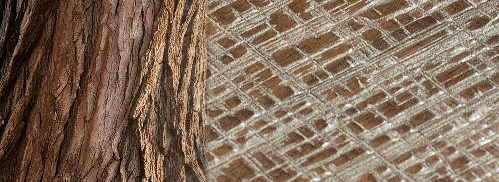 Cortec Walnut Planks with White Gold Powder by Cadorin Group