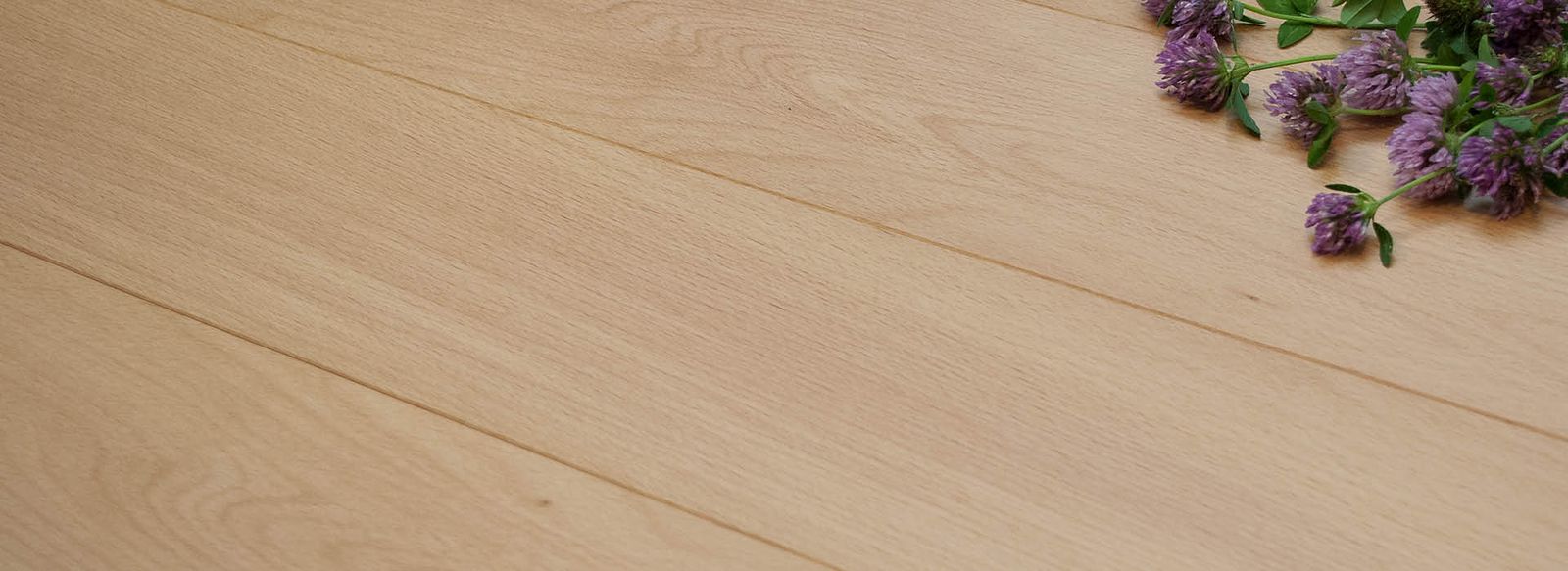 European Beech by Cadorin Group