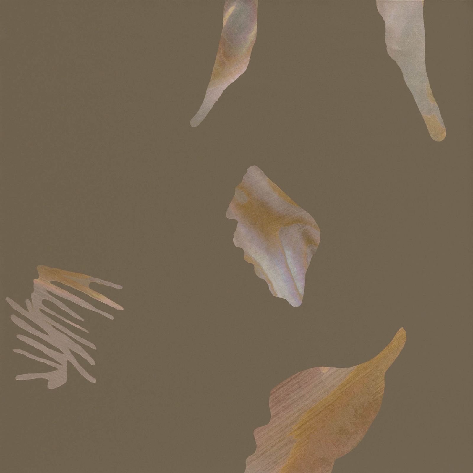 Whelk by Calico Wallpaper