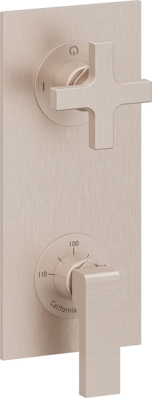 StyleTherm Vista Trim Only with 2-Outlet Control, Installs Vertical or Horizontal by California Faucets