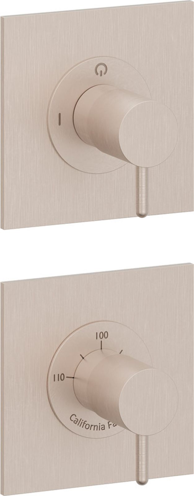 StyleTherm Vista Trim Only with 2-Outlet Control, Installs Vertical or Horizontal by California Faucets