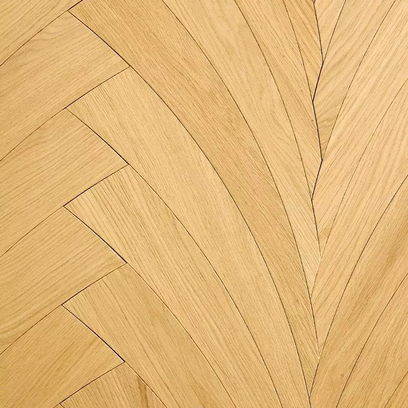 Chevron Vénus Chêne Naturalizzato | CarréSol Éditions by CarréSol Éditions