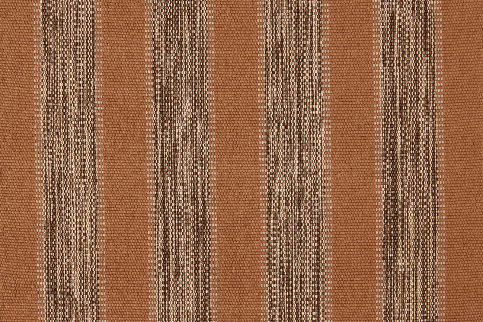 Rayas Paprika by Cisco Brothers