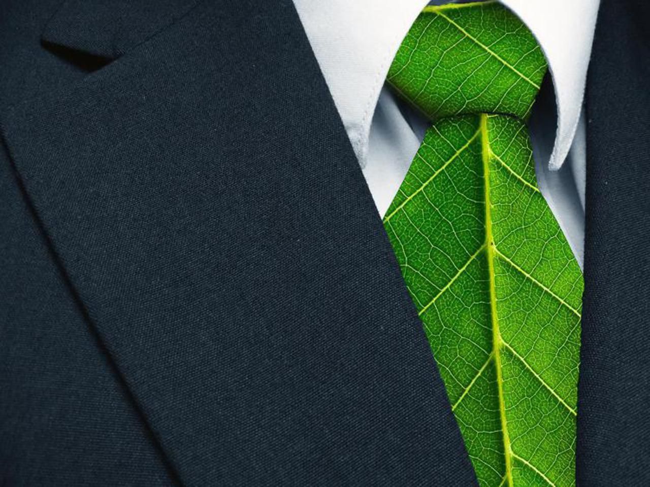 Sostenibilità, Chiattelli (Ey): "Domanda per lavori green aumenterà sempre più" - Civita by Civita Cromo srl