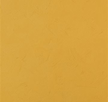 Solid Colours 2529 UB29 by Cleaf