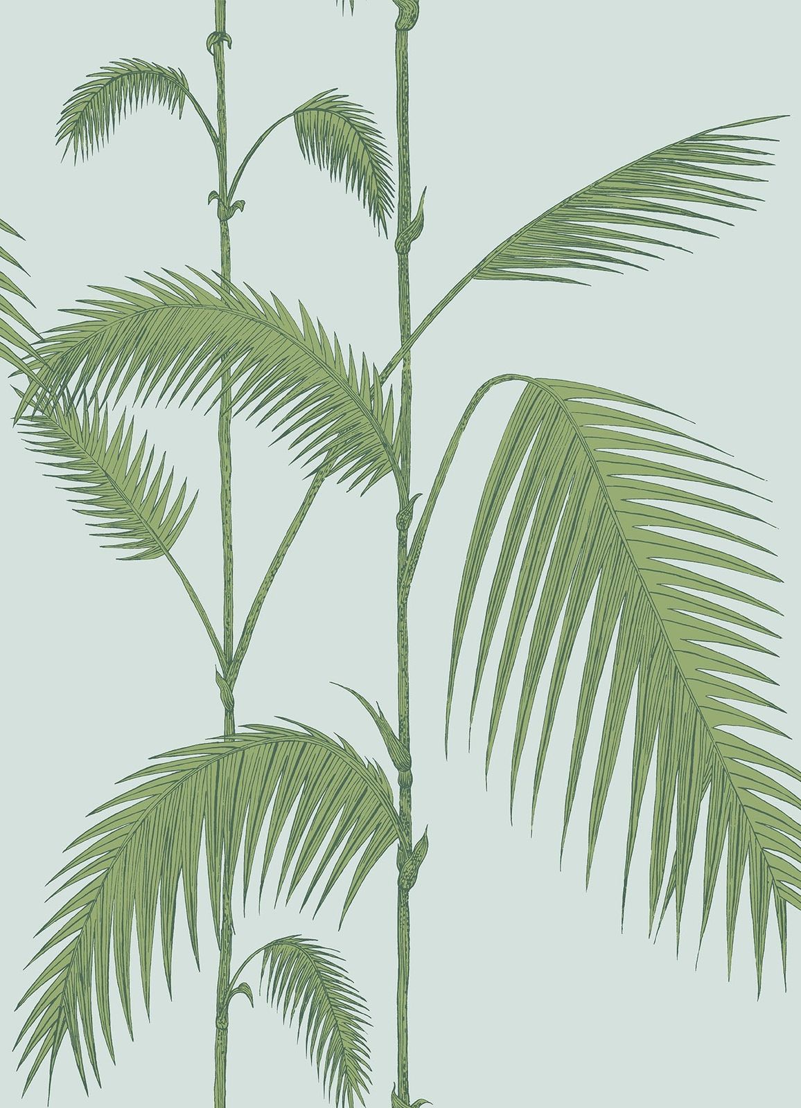 Palm Leaves by Cole & Son