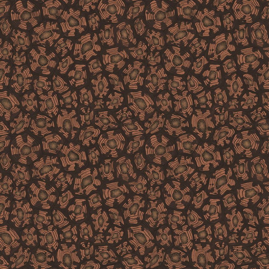 Savanna Shell by Cole & Son