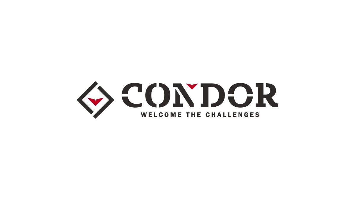 PONTEGGIO A PERNI A31 CARPED - Condor S.p.A. by Condor