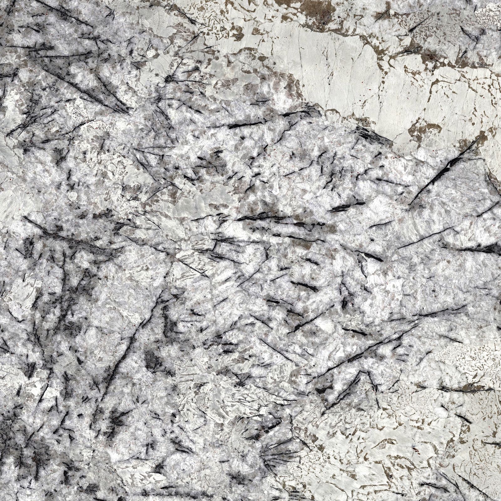 Scalea Delicatus Ice19 by Cosentino