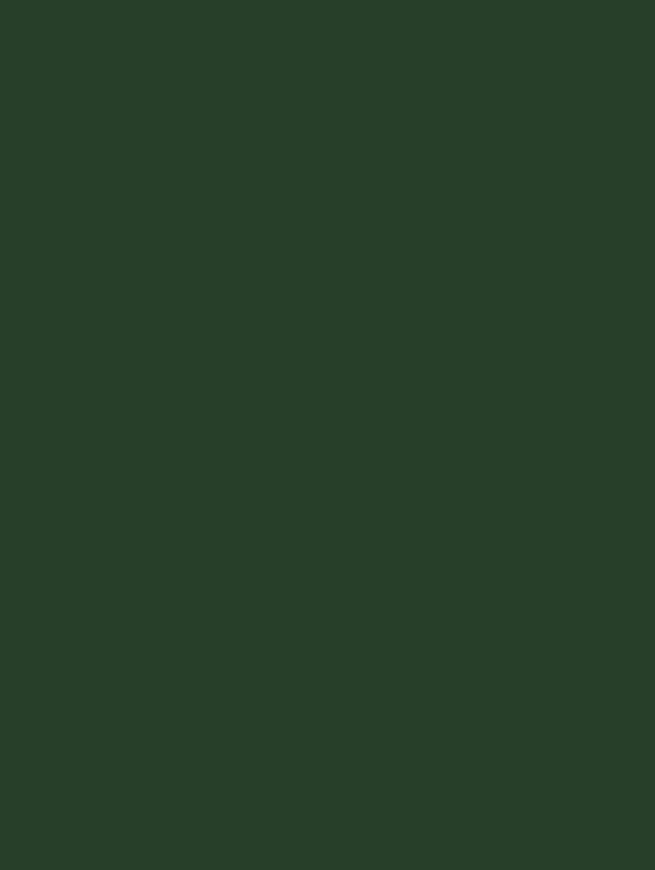 Jade Green NE83 by Cover Styl