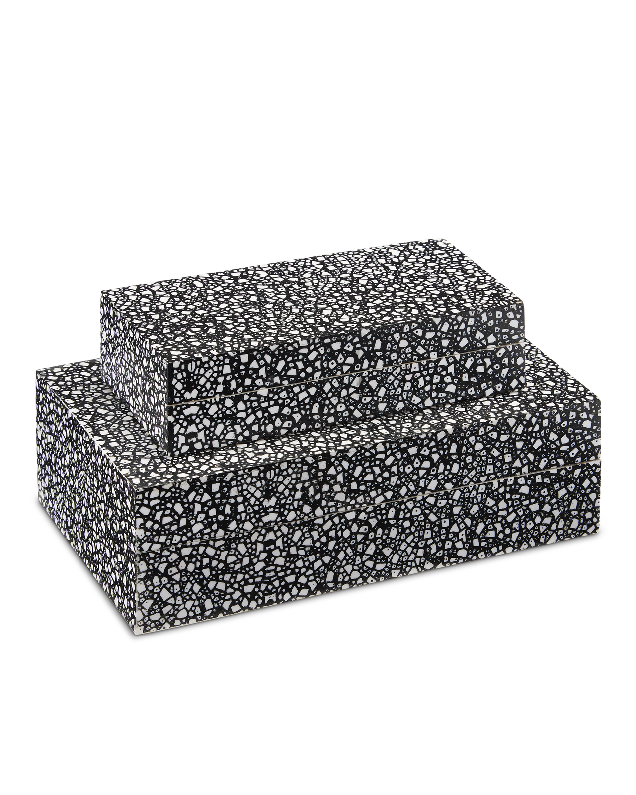 Lela Black Box Set of 2 by Currey and Company