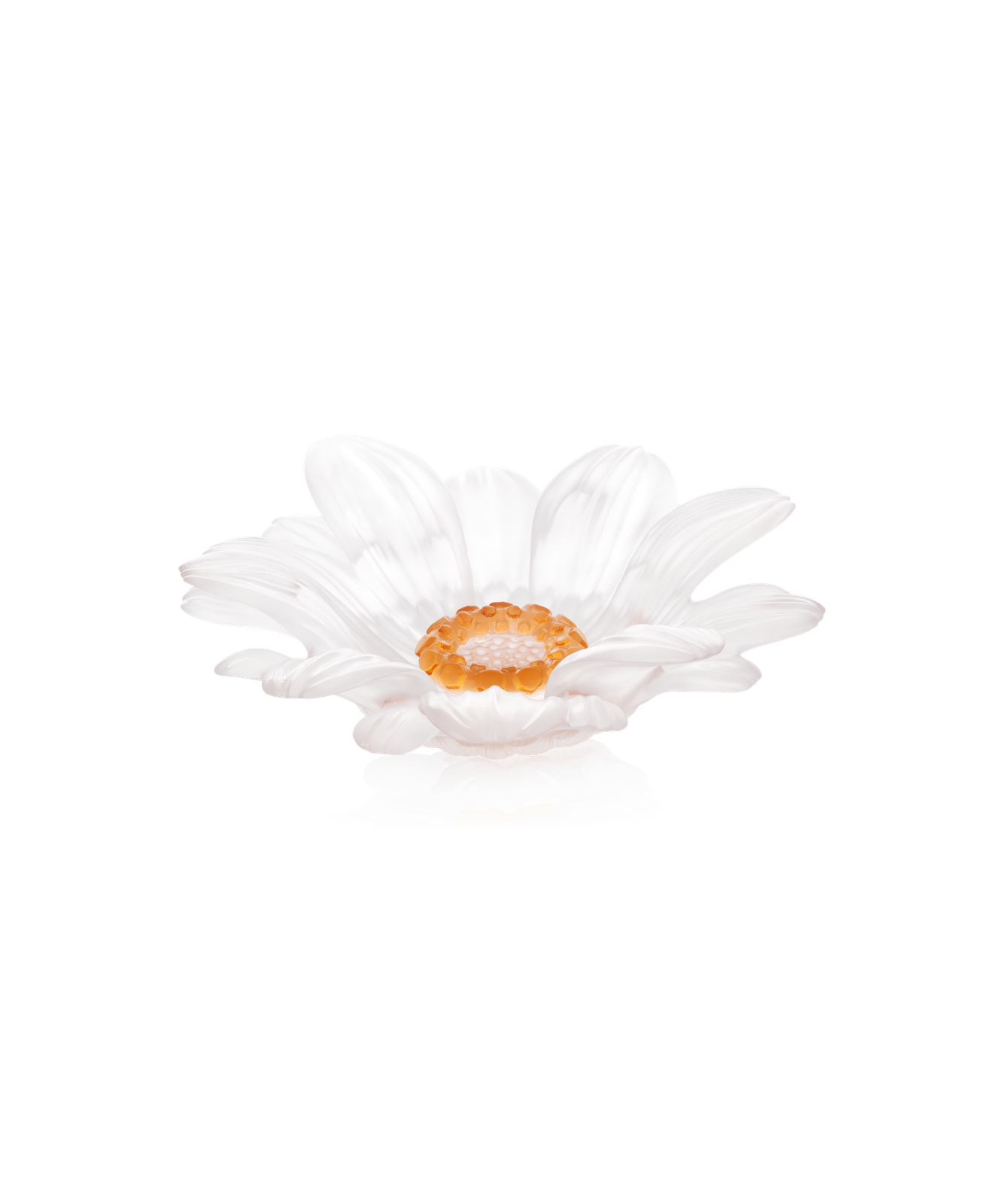 Or d'Abeille Fleur de présentation petit modèle blanche by Daum