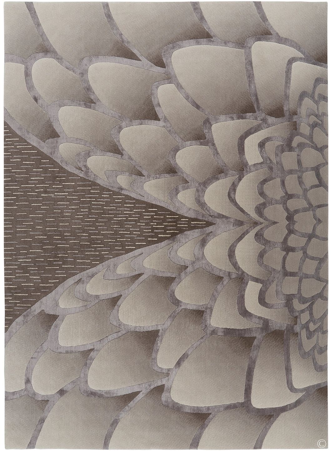 Eagle by Deirdre Dyson