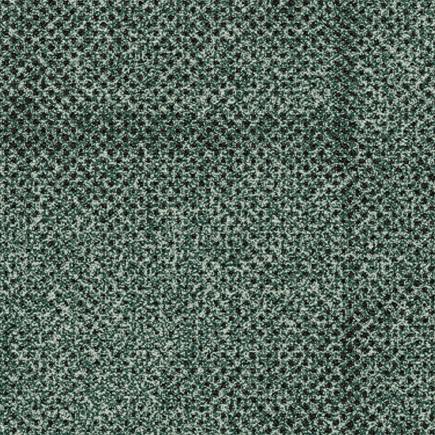 Transition - Seed by Ege Carpets