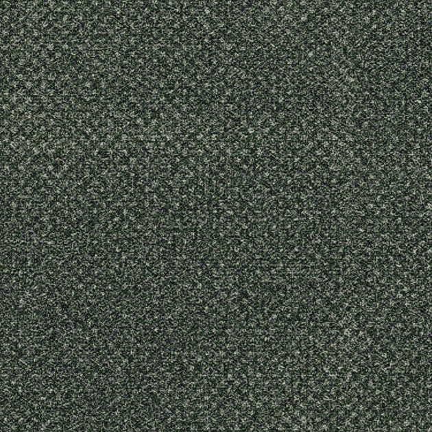 Transition - Seed by Ege Carpets