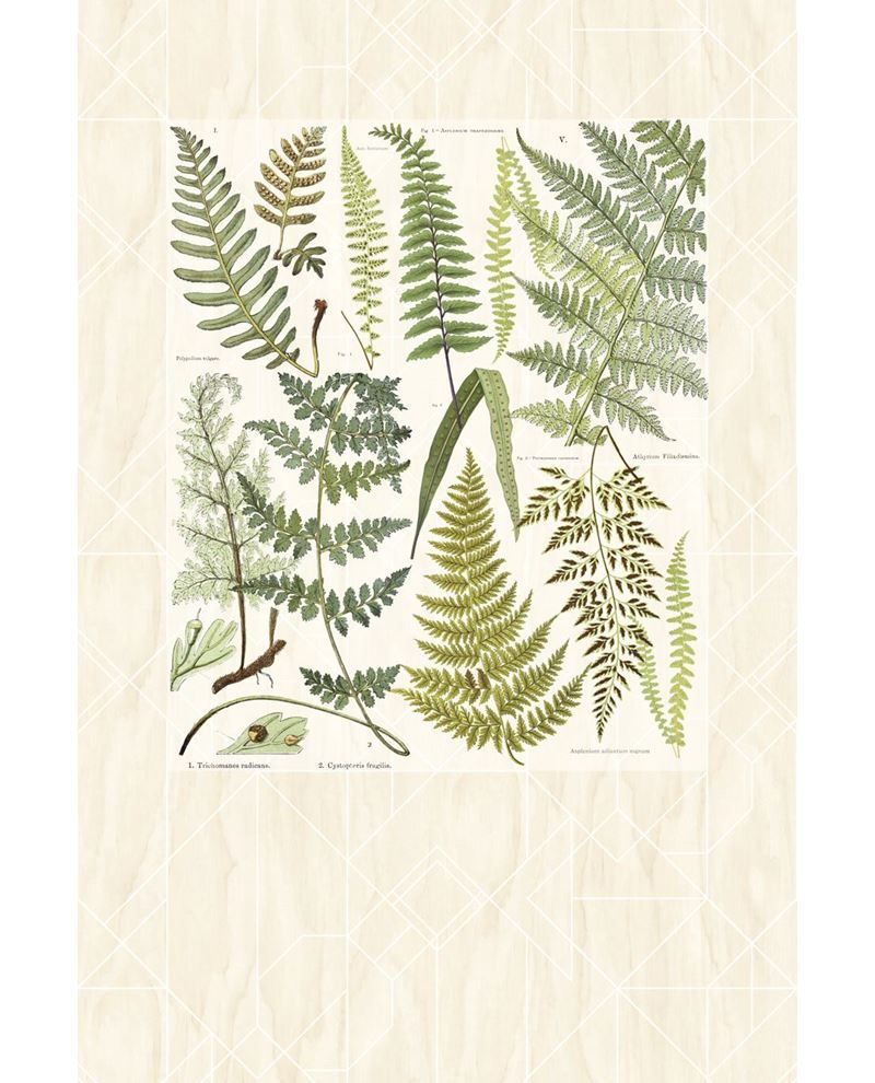GEONATURE 366102 - Beige wallpaper by Eijffinger