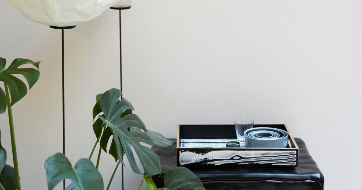 Wrongwoods Tray by Established and Sons