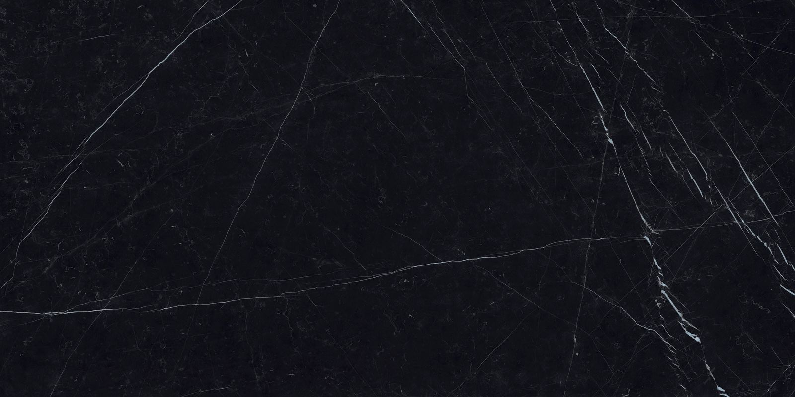 Marmi Maximum Dark Marquina by Fiandre Architectural Surfaces