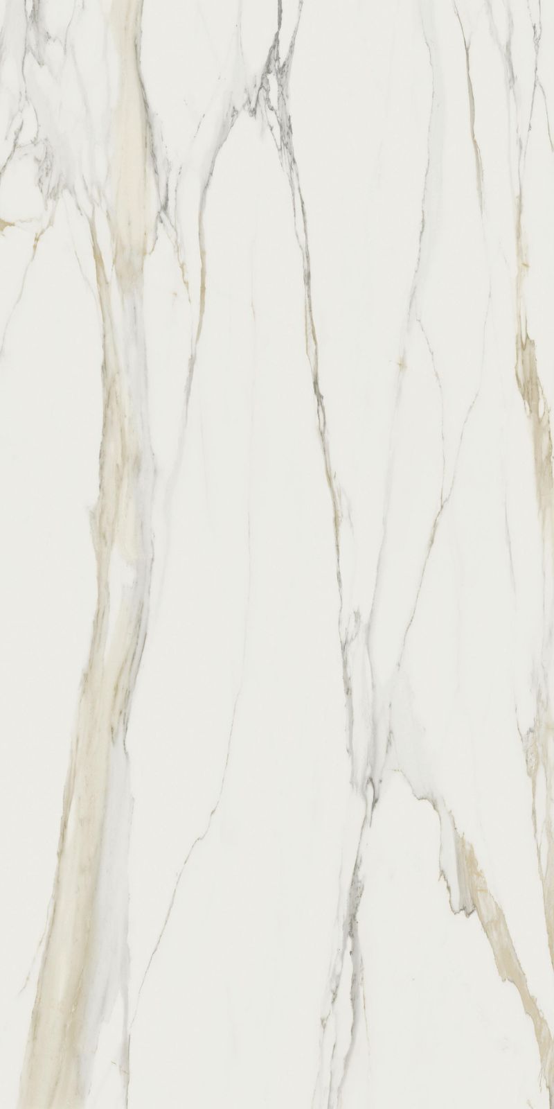 Color Marble Calacatta Gold A by Florim Ceramiche