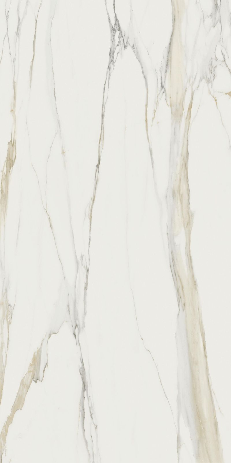 Color Marble Calacatta Gold B by Florim Ceramiche