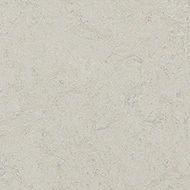 marmoleum decibel silver shadow by Forbo