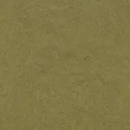 eternal original olive by Forbo