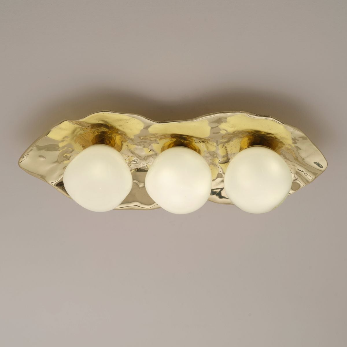 Shell Ceiling Light by GASPARE ASARO
