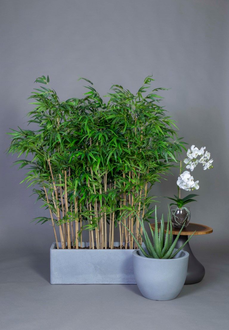 Bambu 1500 by Gotessons