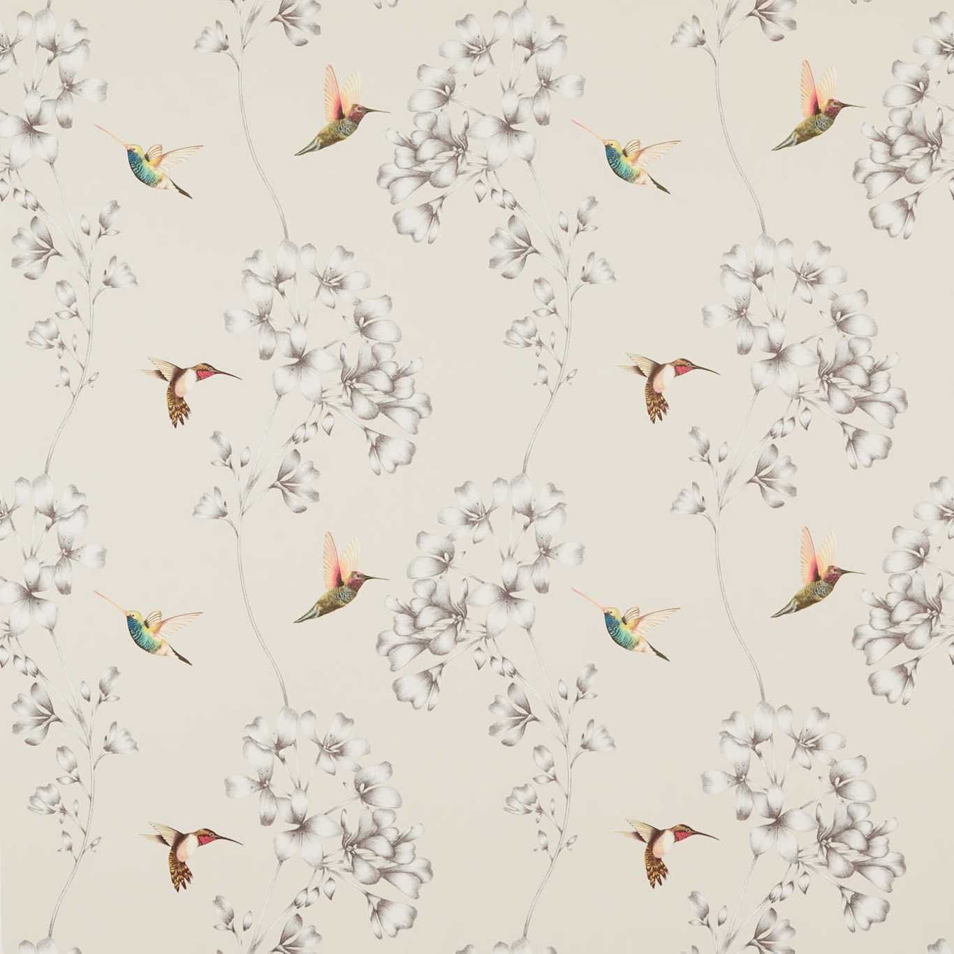 Amazilia Powder by Harlequin