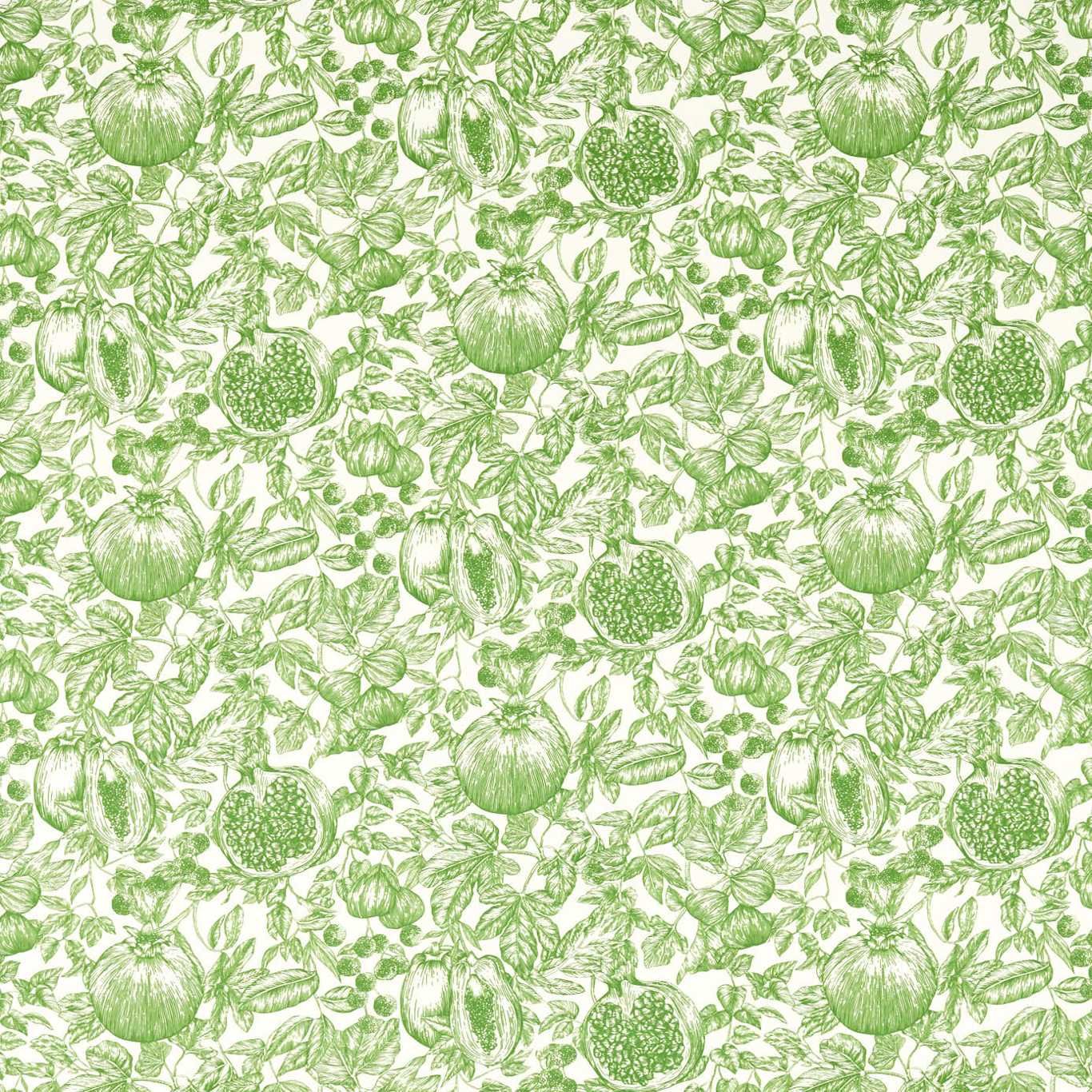 Melograno Forest/ First Light HAF0480-01 by Harlequin