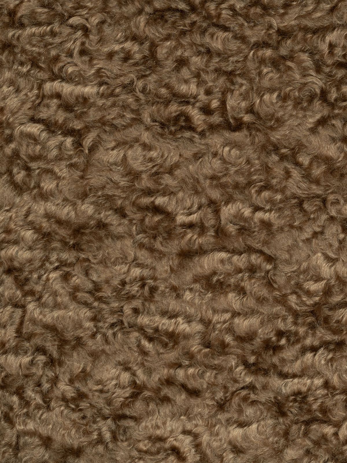 Grizzly Trapper (DE14404) by Holland & Sherry