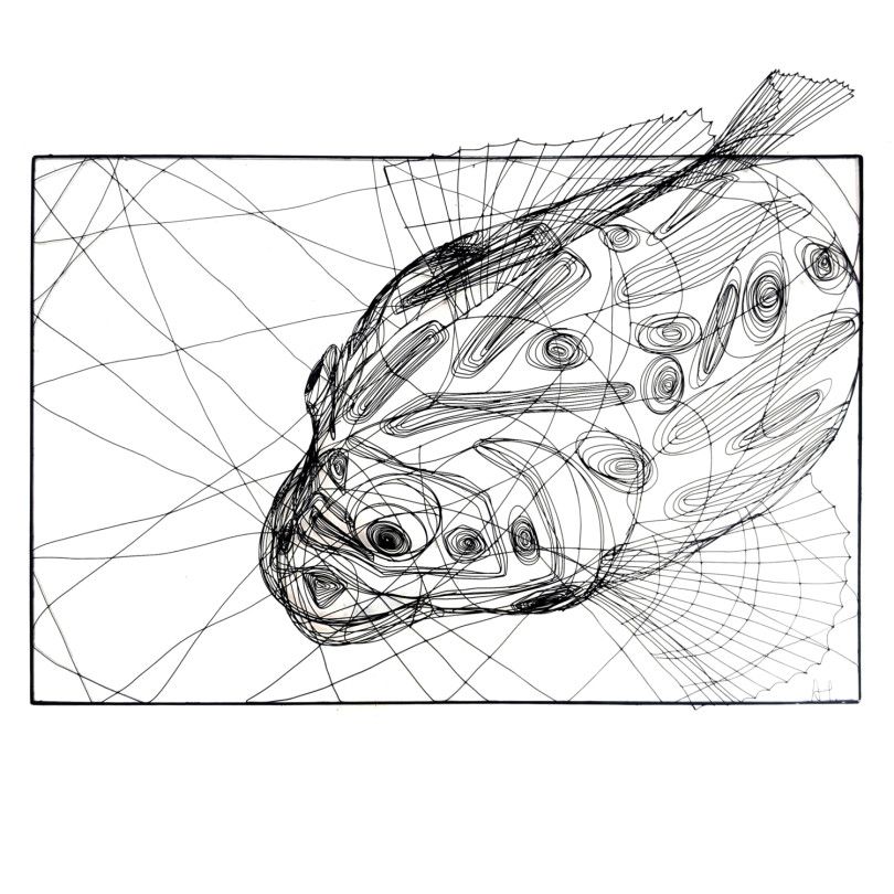 CICHLID FISH sculpture by ICI ET LÀ