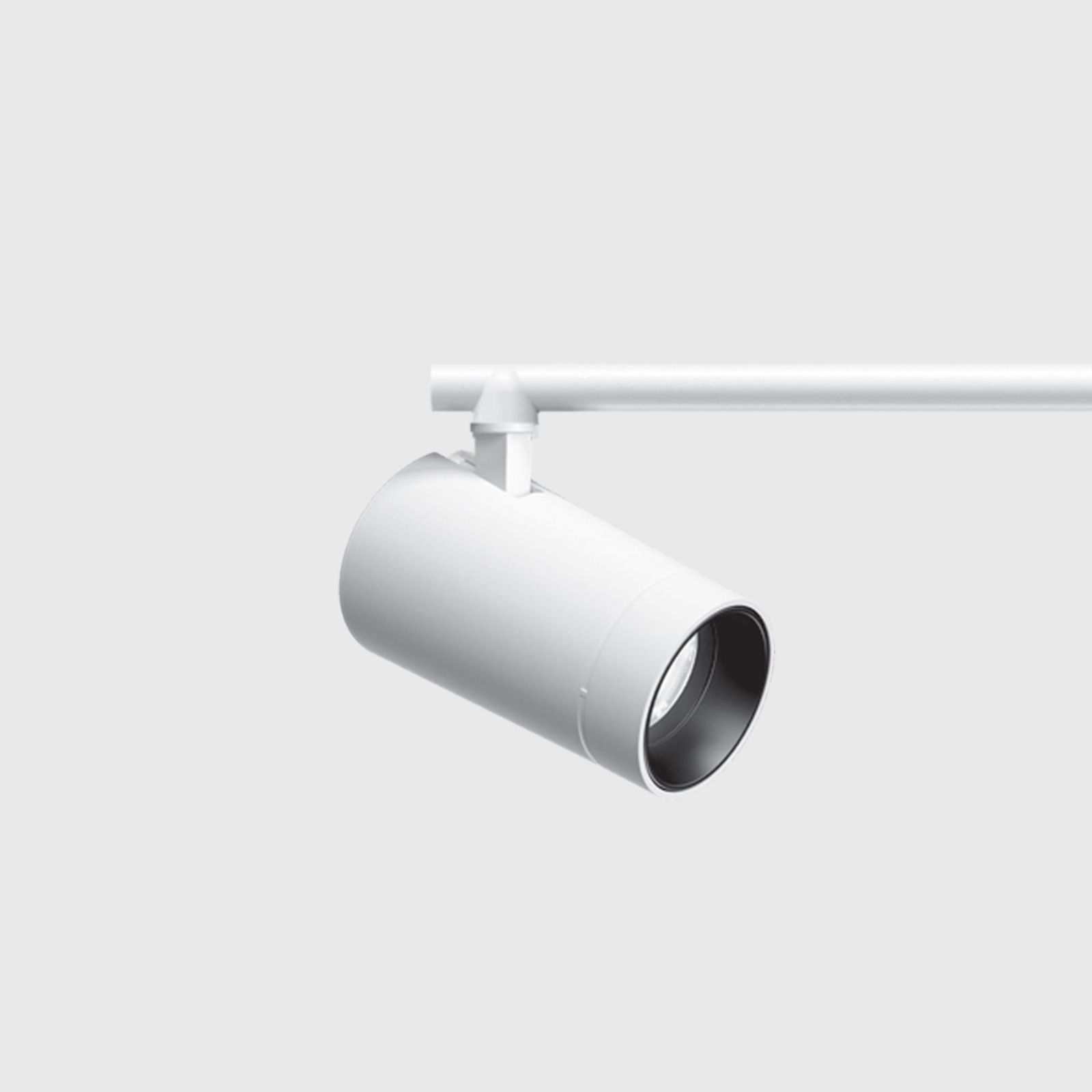 Palco Low Voltage Ø 19 / 37 mm with rod for Low Voltage track DALI Powerline by iGuzzini