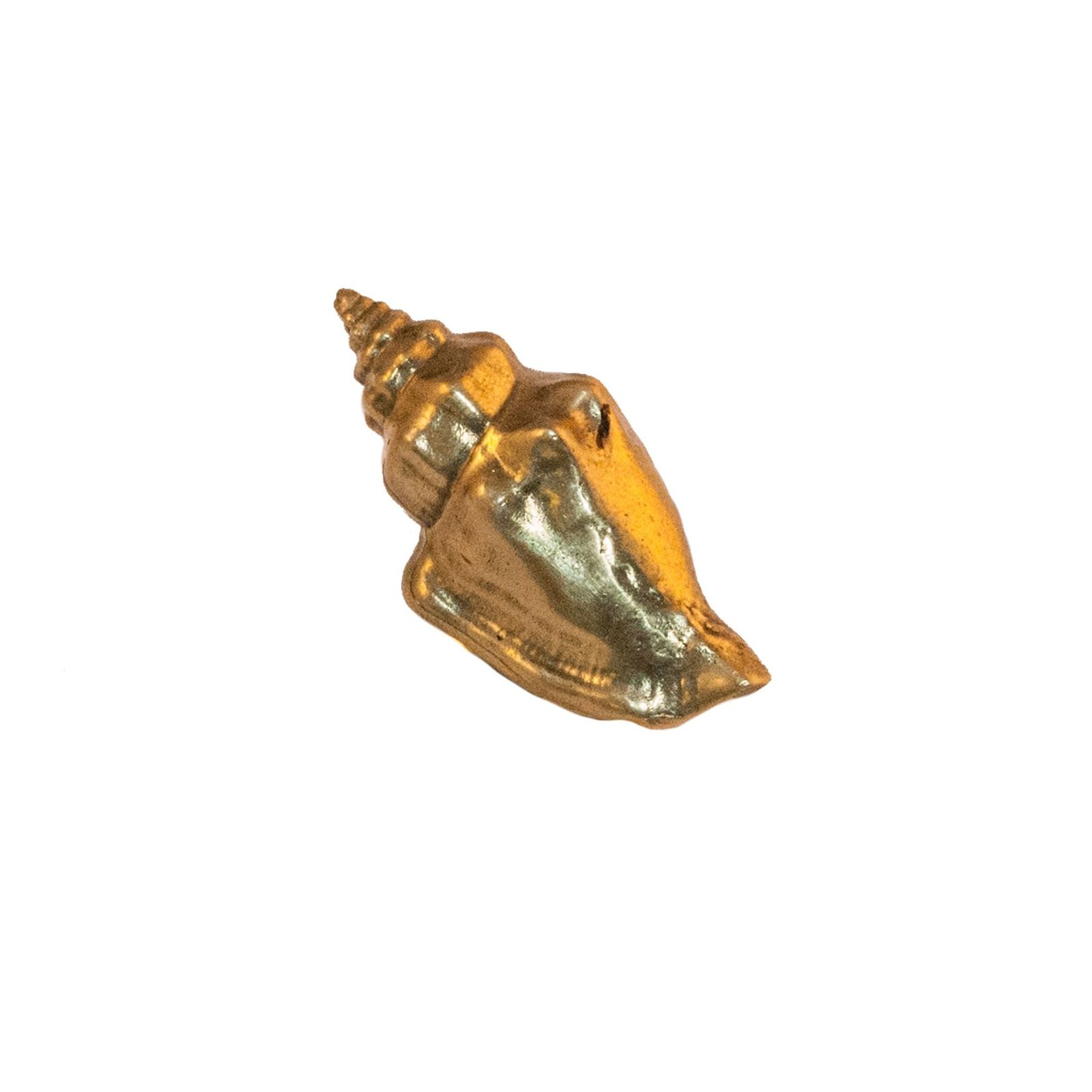 Oceano Tulip - seashell brass knob by Il Bronzetto