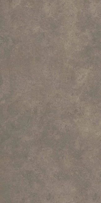 Cement 2.0 Matte Soil Porcelain Tile 60x120 by Kale