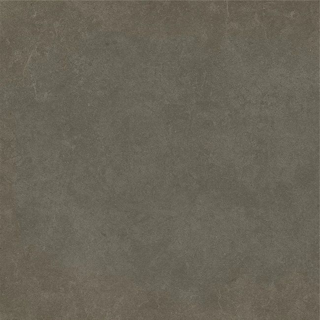 Cement 2.0 Matte Soil Porcelain Tile 60x60 by Kale
