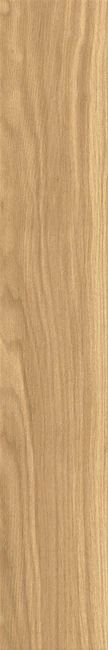 Noce Italiano Matte Beige Glazed Granite 20x120 by Kale
