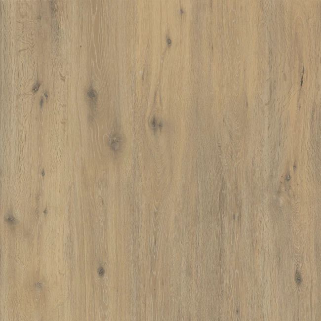 Hollywood Matte Beige Sinterflex Porcelain Tile 120x120 by Kale