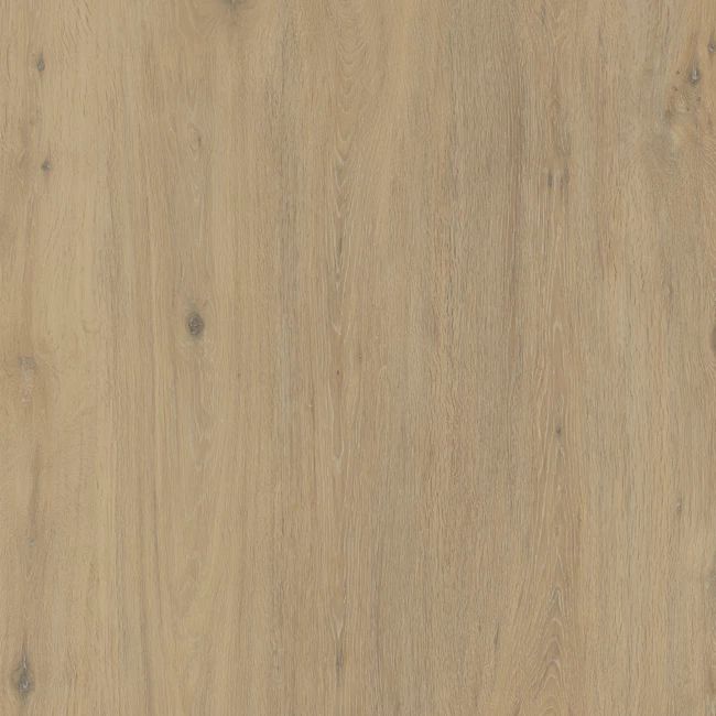 Hollywood Matte Beige Sinterflex Porcelain Tile 100x100 by Kale