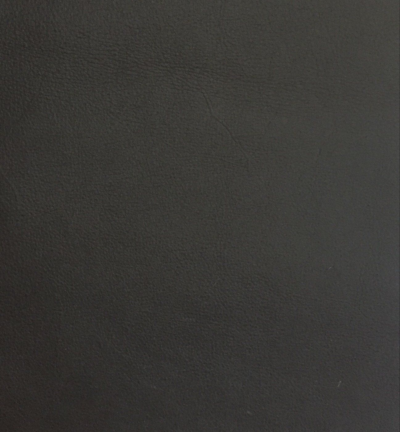 Cover for Julius chairs leather black by Lambert