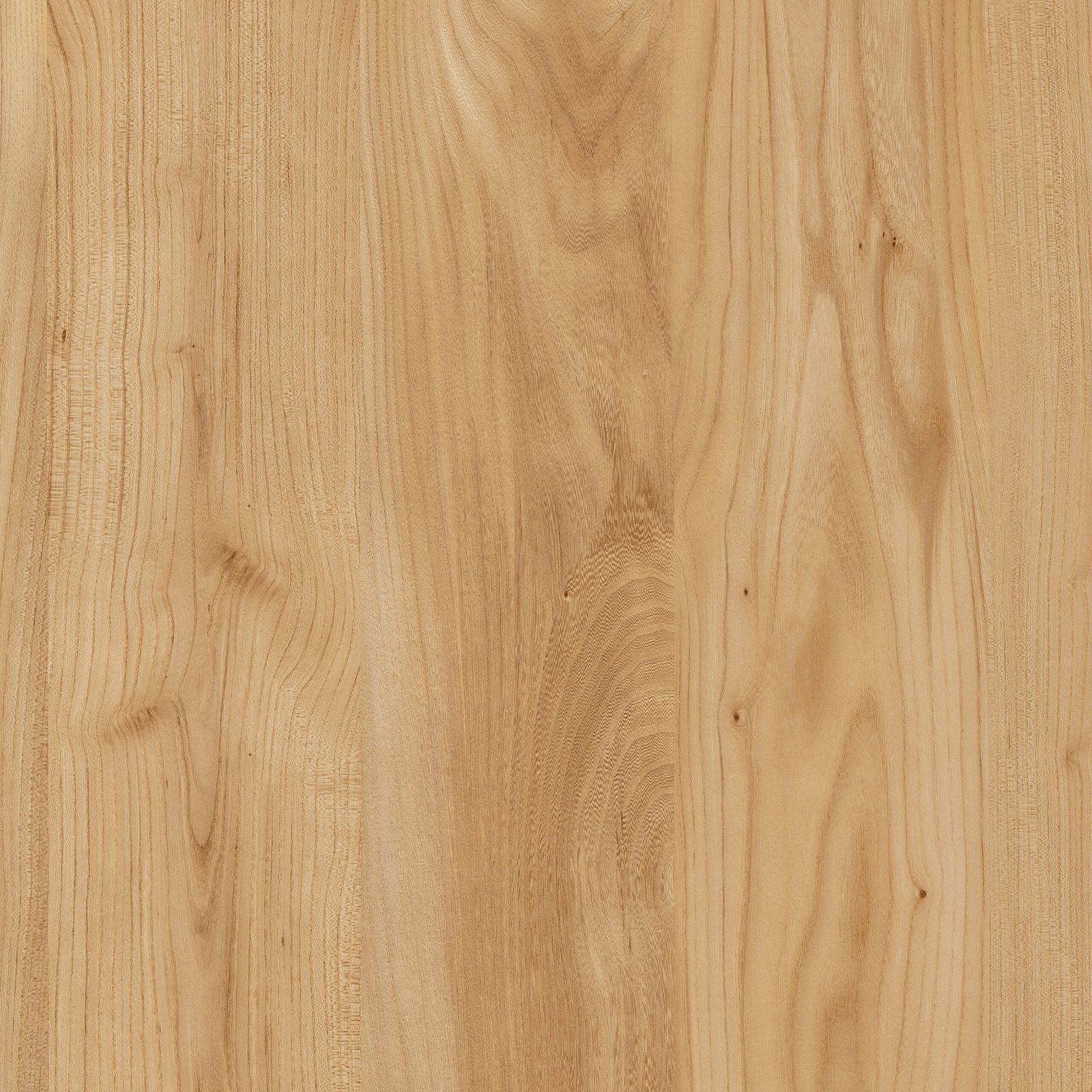 Ciliegio Aurora by LAMITEX
